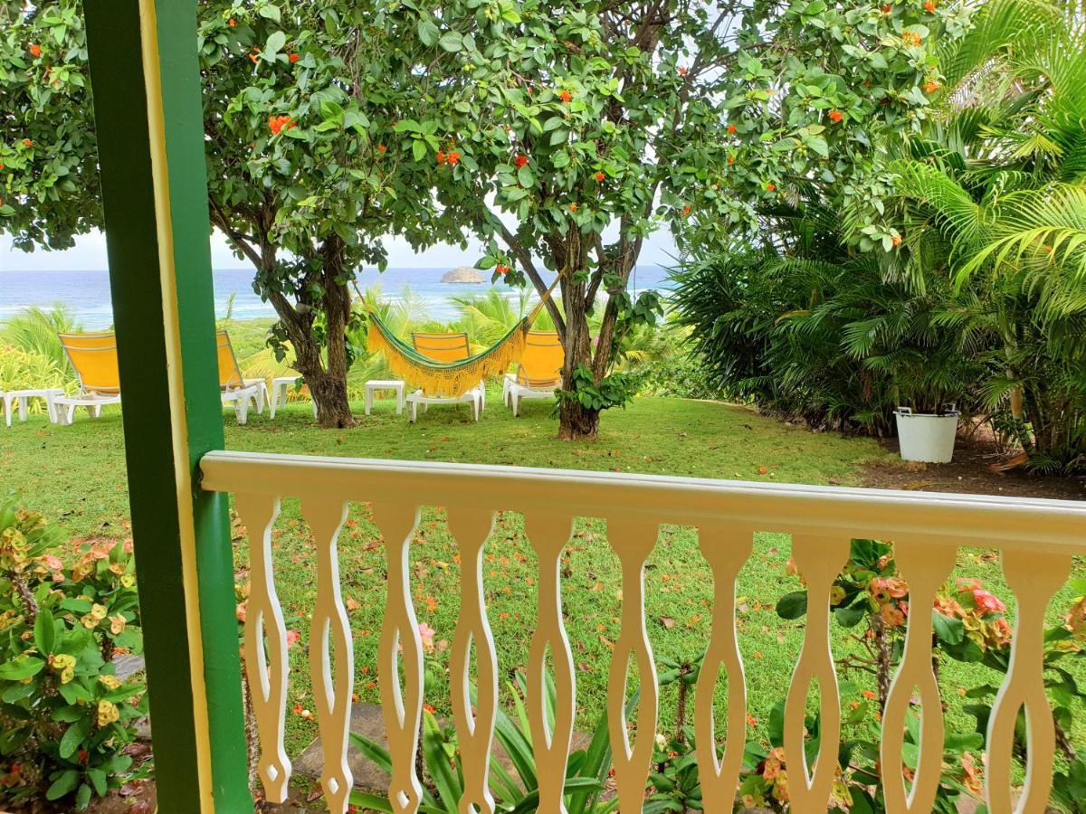Villa Guadeloupe Saint Francois Acces Mer Piscine Iguana Bay - Villa Zagadi Exterior photo