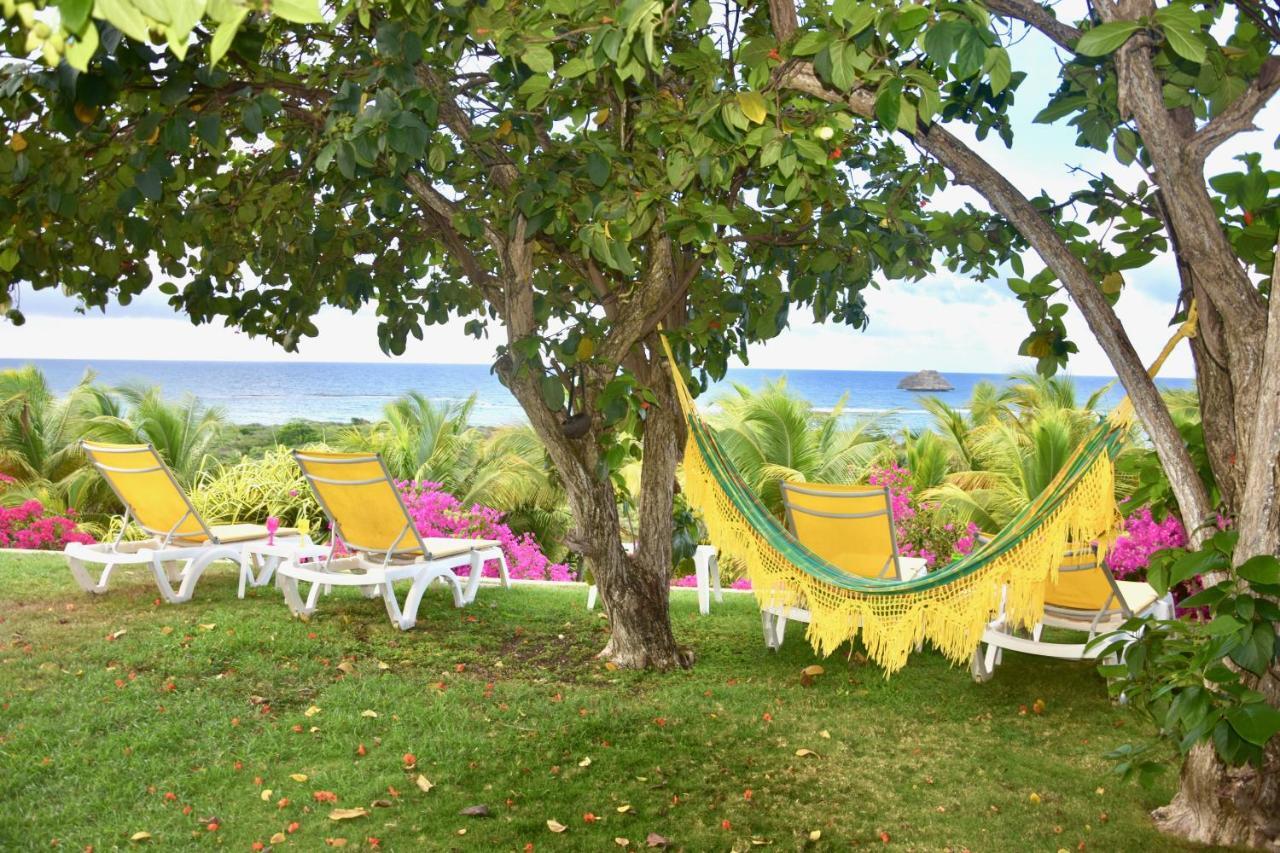 Villa Guadeloupe Saint Francois Acces Mer Piscine Iguana Bay - Villa Zagadi Exterior photo