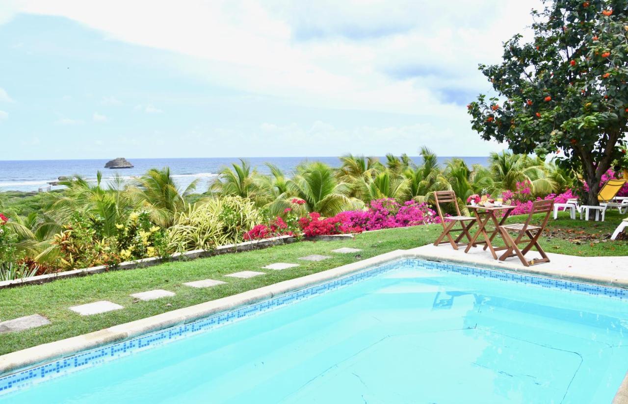 Villa Guadeloupe Saint Francois Acces Mer Piscine Iguana Bay - Villa Zagadi Exterior photo