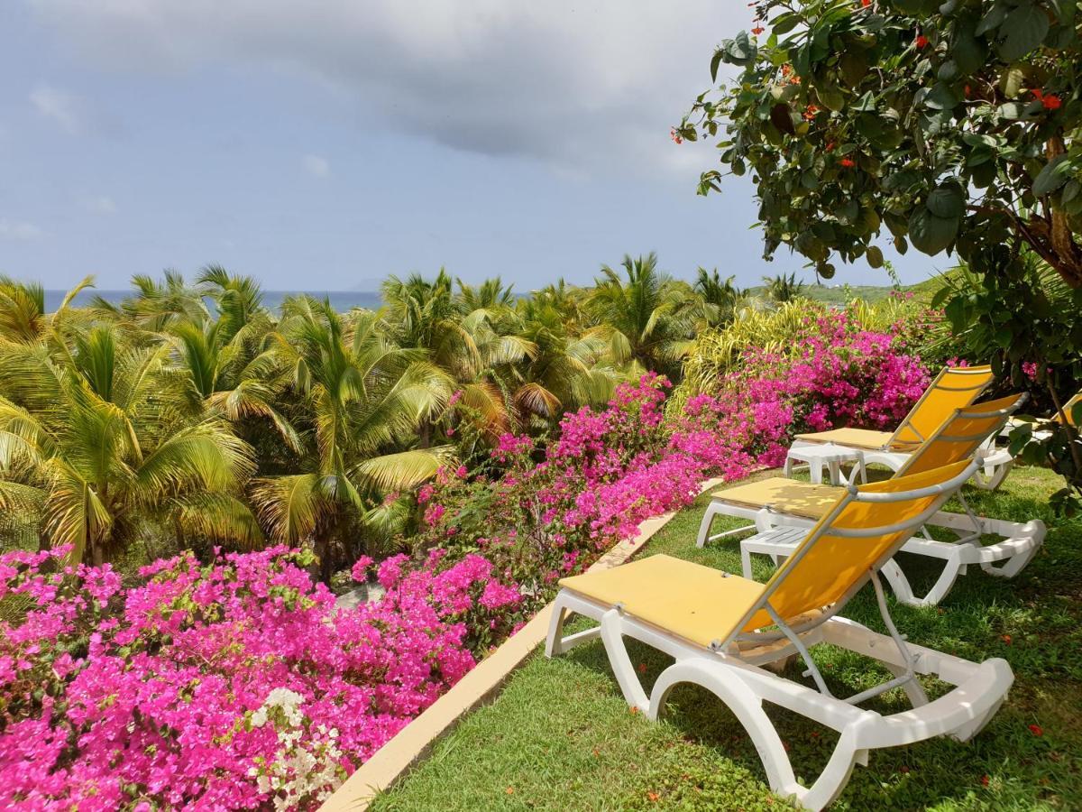 Villa Guadeloupe Saint Francois Acces Mer Piscine Iguana Bay - Villa Zagadi Exterior photo