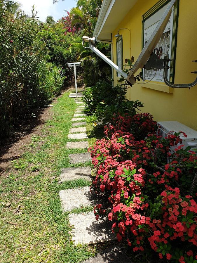 Villa Guadeloupe Saint Francois Acces Mer Piscine Iguana Bay - Villa Zagadi Exterior photo